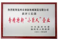 工信部專(zhuān)精特新“小巨人”企業(yè)