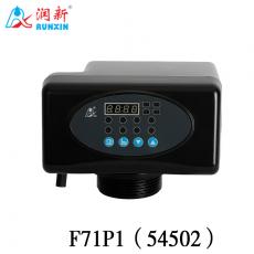 P系列過(guò)濾閥54502(F71P1)