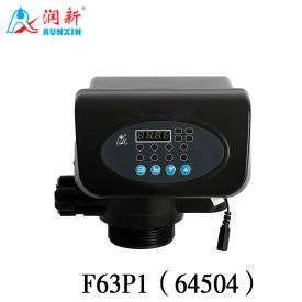 P系列軟化閥64504(F63P1)  64604(F63P3)