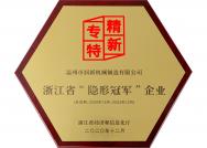 浙江省“隱形冠軍”企業(yè)